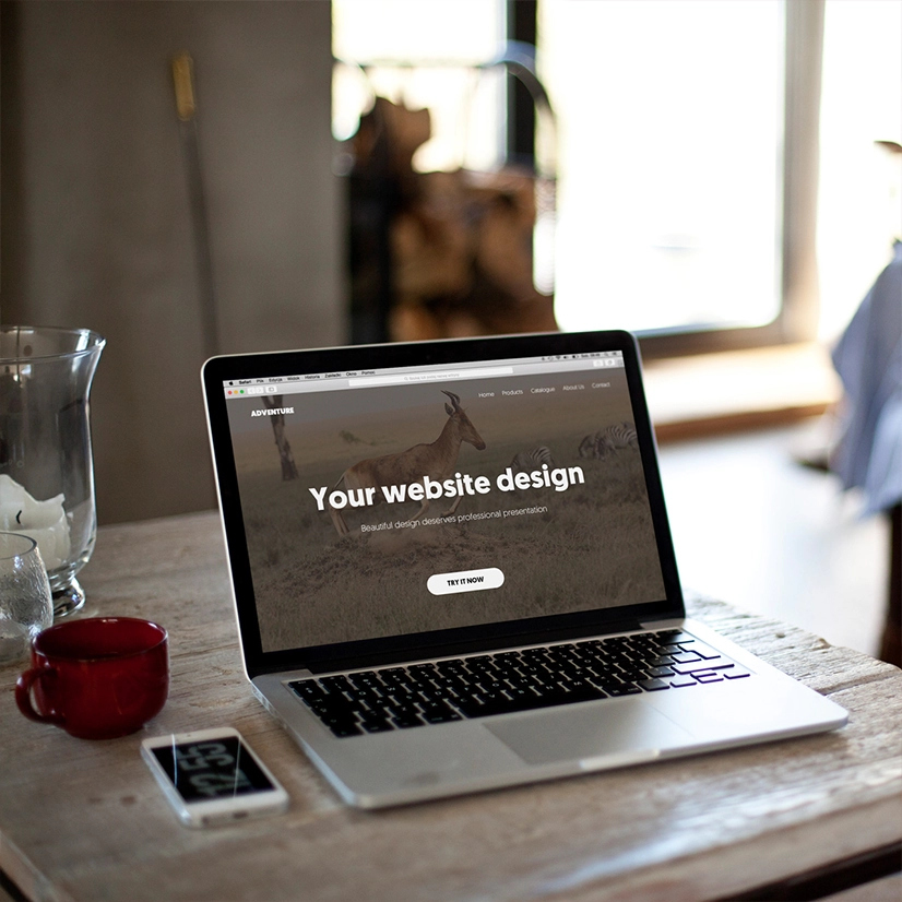 site-internet-vitrine